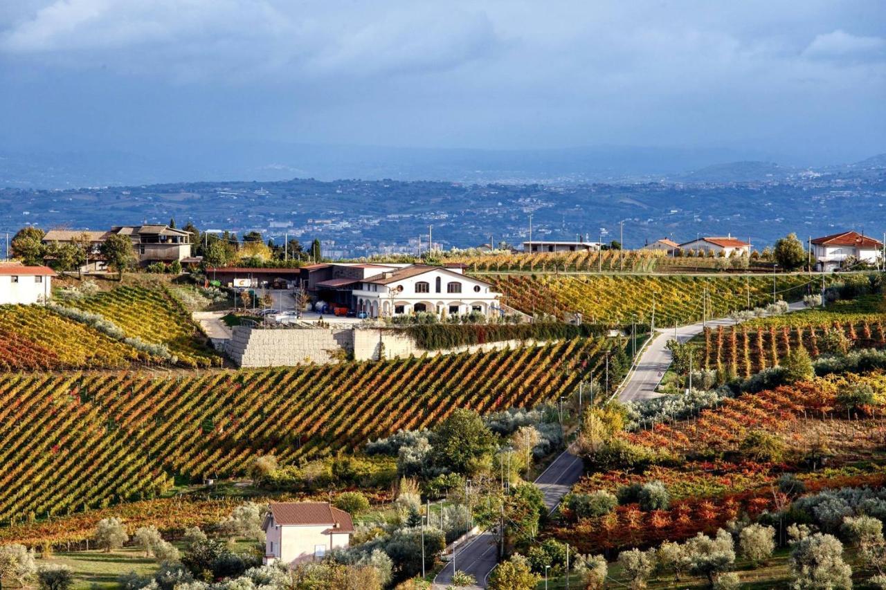Cantine Iannella Torrecuso Dış mekan fotoğraf